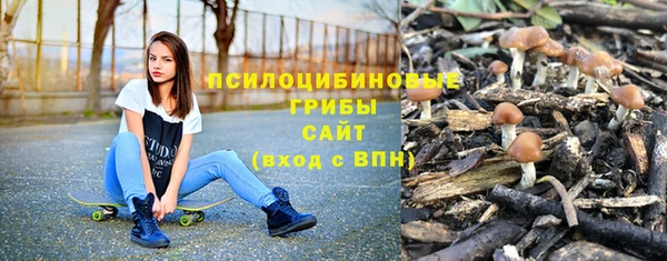 МДПВ Абинск