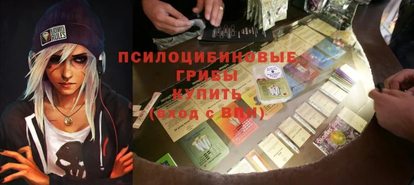 гидропоника Абаза