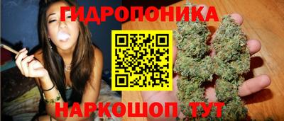 крисы Камень-на-Оби
