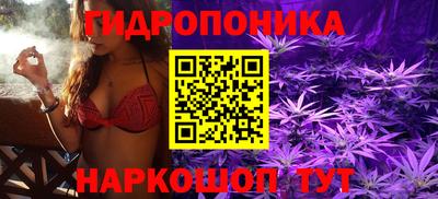 тгк Ижевск