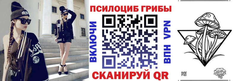 Галлюциногенные грибы Psilocybe  Копейск 